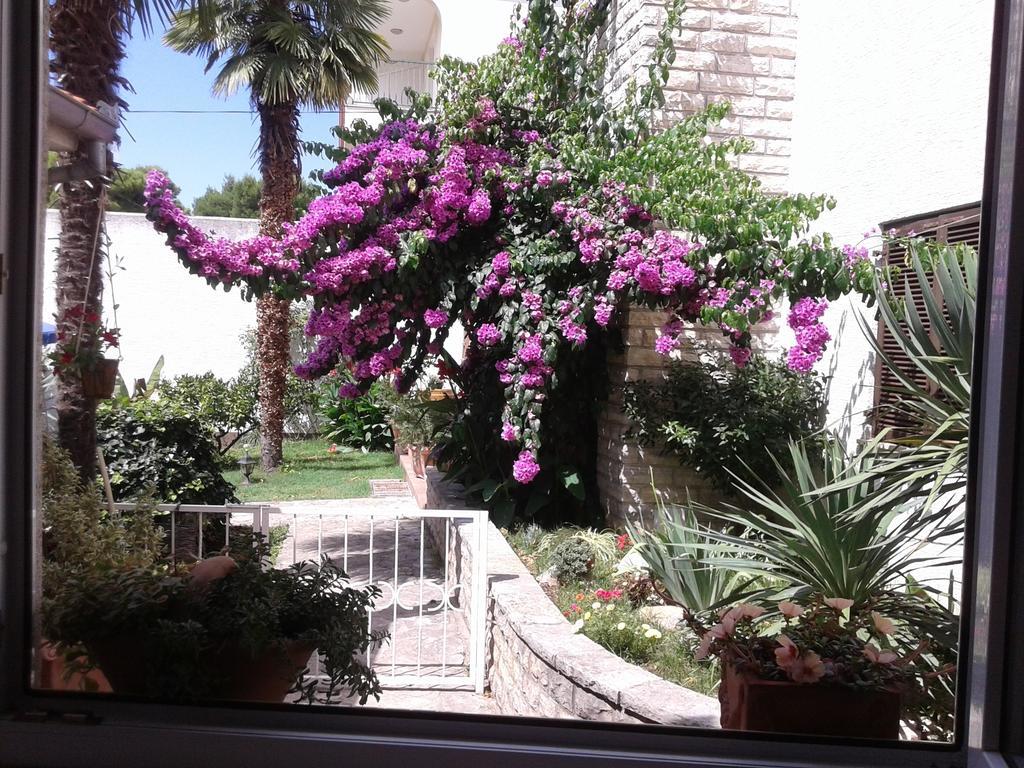 Apartments Terra Biograd Na Moru Dış mekan fotoğraf